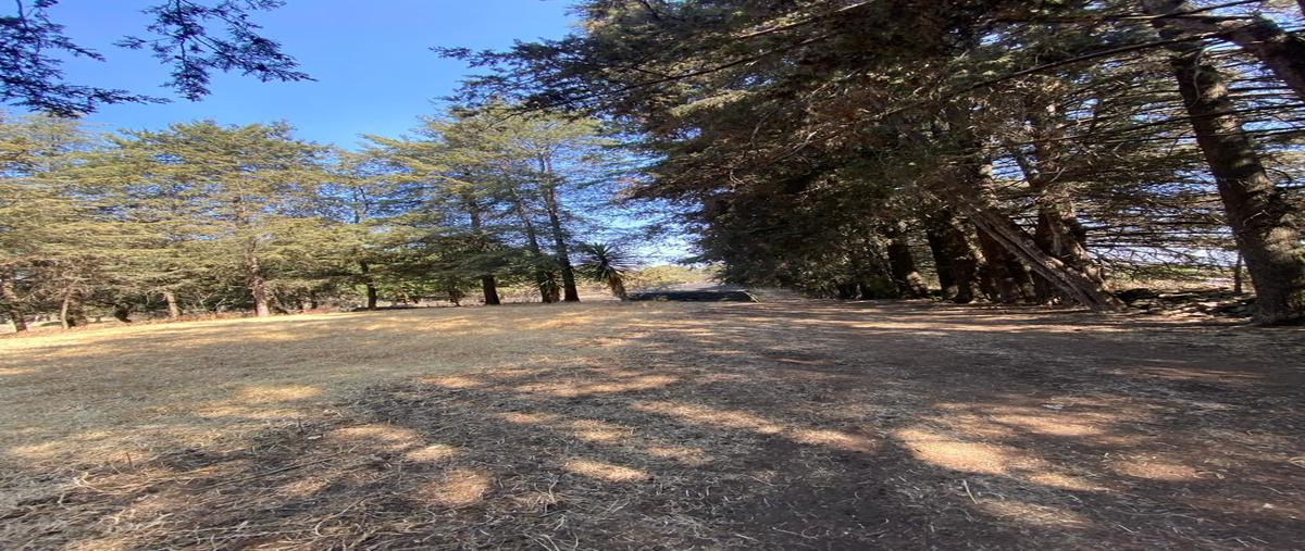 Foto de terreno comercial en venta en carretera mexico toluca kilometro 44+800 ocoyoacac , centro ocoyoacac, ocoyoacac, méxico, 27935728 No. 05