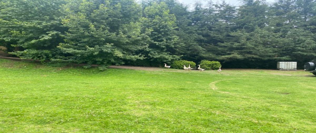 Foto de terreno industrial en carretera méxico toluca , san miguel ameyalco, lerma, méxico, 30518020 foto 05 Foto de terreno industrial en venta en carretera méxico toluca , san miguel ameyalco, lerma, méxico, 30518020 No. 05