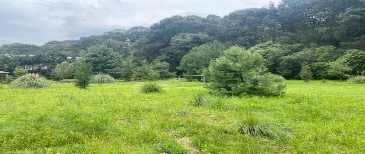 Foto de terreno industrial en carretera méxico toluca , san miguel ameyalco, lerma, méxico, 30518020 foto 06 Foto de terreno industrial en venta en carretera méxico toluca , san miguel ameyalco, lerma, méxico, 30518020 No. 06