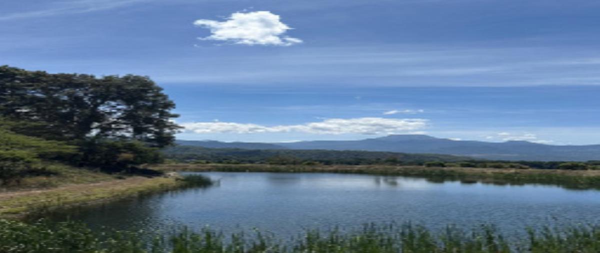 Foto de terreno industrial en venta en carretera méxico toluca , san miguel ameyalco, lerma, méxico, 30670078 No. 08