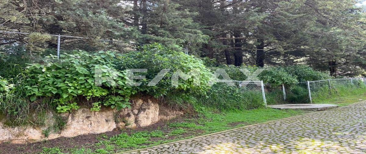 Foto de terreno habitacional en venta en carretera méxico - toluca , san miguel, ocoyoacac, méxico, 30308336 No. 03