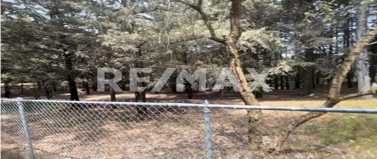 Foto de terreno habitacional en venta en carretera méxico - toluca , san miguel, ocoyoacac, méxico, 30308336 No. 05
