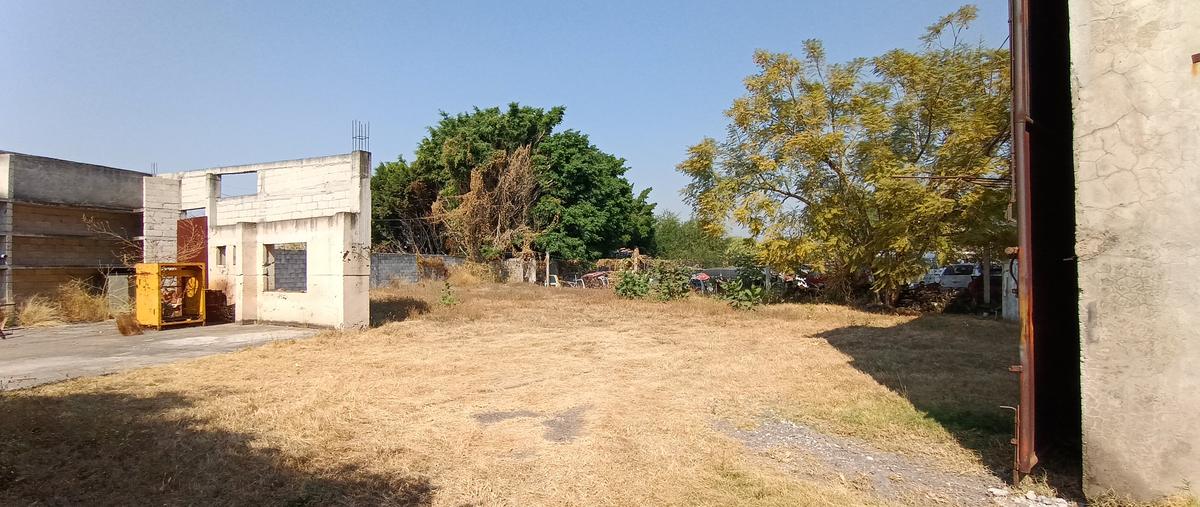 Foto de nave industrial en venta en carretera méxico-cuautla , san francisco, atlatlahucan, morelos, 30938781 No. 05