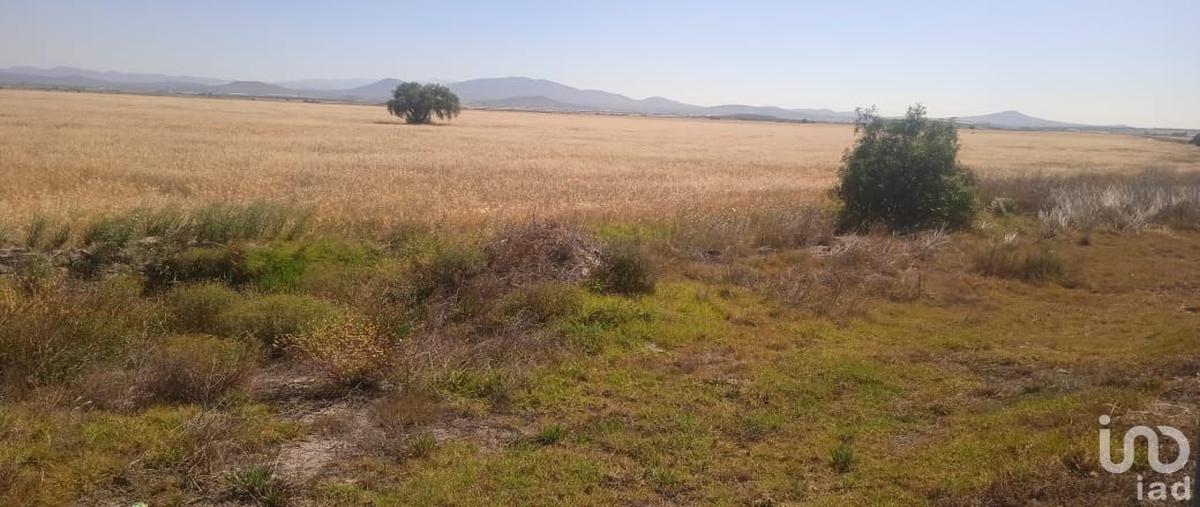 Foto de terreno comercial en venta en carretera méxico-pachuca , el herradero, zapotlán de juárez, hidalgo, 0 No. 03