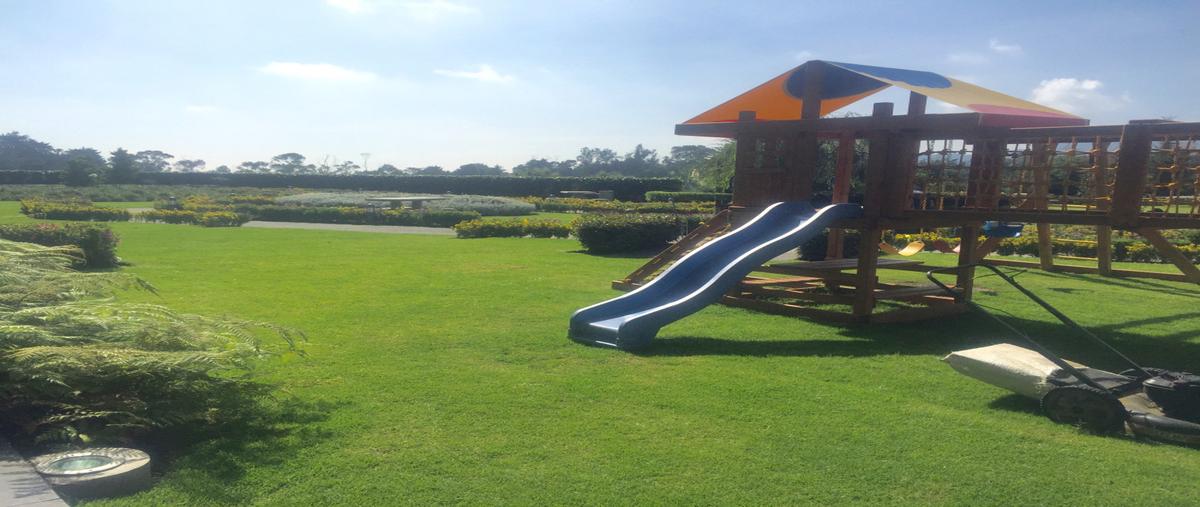 Foto de departamento en renta en carretera mexico-toluca , contadero, cuajimalpa de morelos, df / cdmx, 24231072 No. 35
