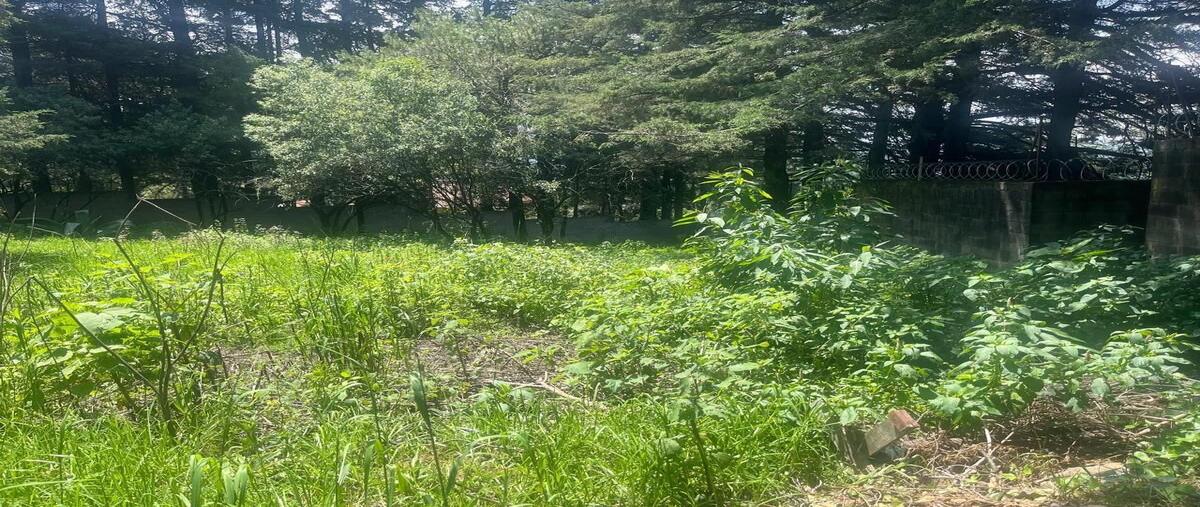 Foto de terreno comercial en venta en carretera méxico-toluca , hacienda san martín, ocoyoacac, méxico, 30165332 No. 05