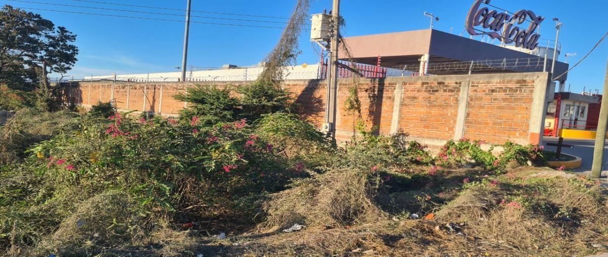 Foto de terreno habitacional en venta en carretera mezcales-san vicente , mezcales, bahía de banderas, nayarit, 27583480 No. 03