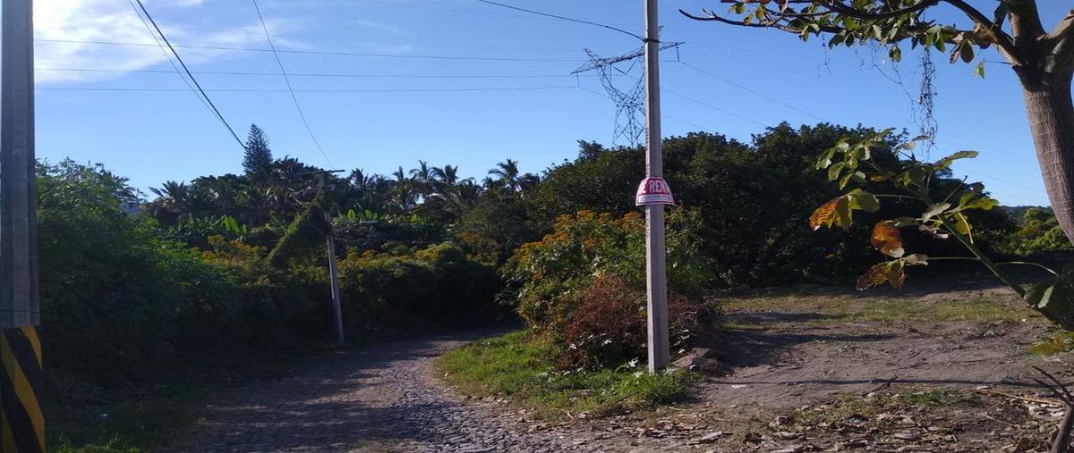 Foto de terreno comercial en renta en carretera miramar , reforma, tepic, nayarit, 0 No. 03