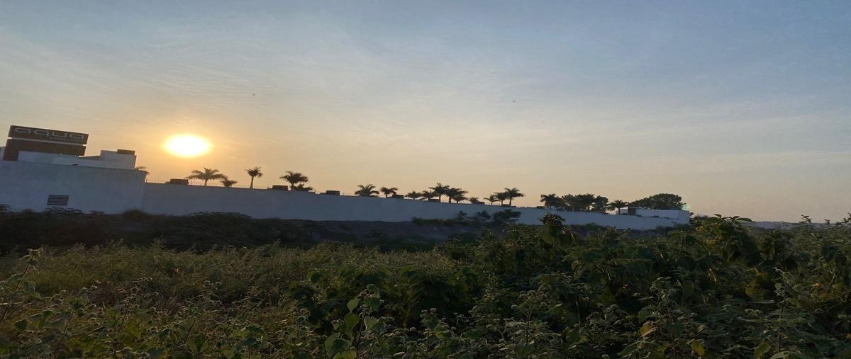 Foto de terreno comercial en carretera monterrey - cadereyta cuota , valle soleado, guadalupe, nuevo león, 28286198 foto 04 Foto de terreno comercial en renta en carretera monterrey - cadereyta cuota , valle soleado, guadalupe, nuevo león, 28286198 No. 04