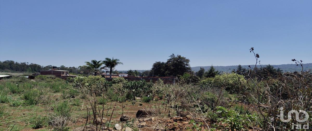 Foto de terreno habitacional en venta en carretera morelia-zamora 120, iratzio, morelia, michoacán de ocampo, 31247977 No. 05