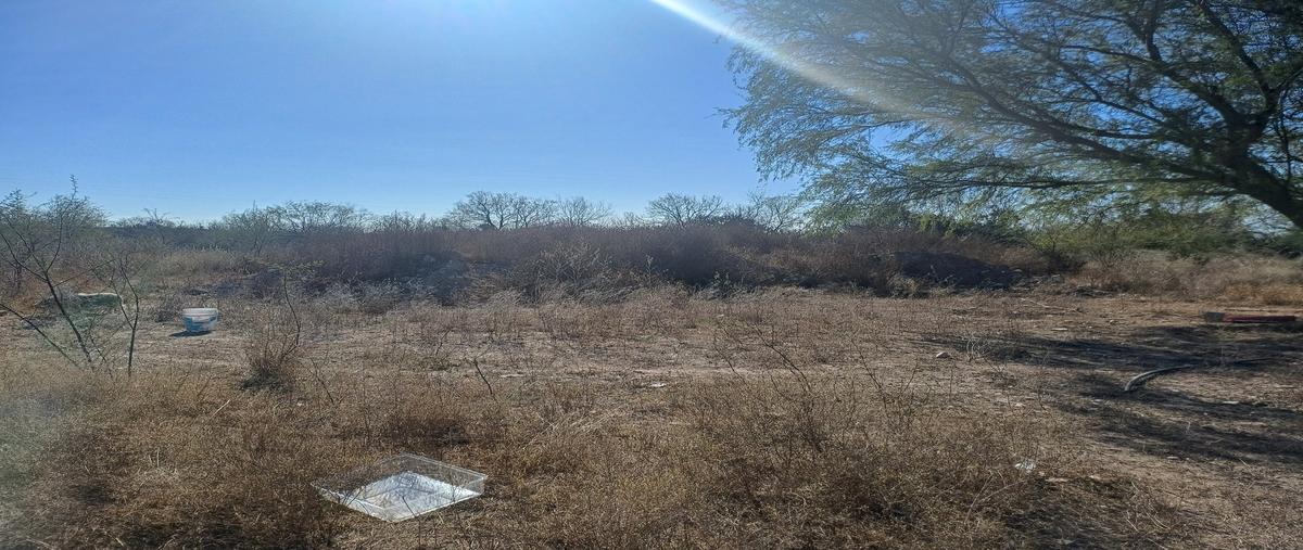 Foto de terreno industrial en carretera mty- colombia , salinas victoria, salinas victoria, nuevo león, 30308085 foto 02 Foto de terreno industrial en renta en carretera mty- colombia , salinas victoria, salinas victoria, nuevo león, 30308085 No. 02