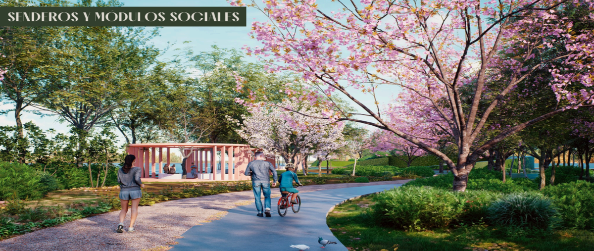 Foto de terreno habitacional en carretera muxupip , motul de carrillo puerto centro, motul, yucatán, 0 foto 02 Foto de terreno habitacional en venta en carretera muxupip , motul de carrillo puerto centro, motul, yucatán, 0 No. 02