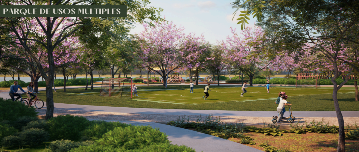 Foto de terreno habitacional en carretera muxupip , motul de carrillo puerto centro, motul, yucatán, 0 foto 04 Foto de terreno habitacional en venta en carretera muxupip , motul de carrillo puerto centro, motul, yucatán, 0 No. 04