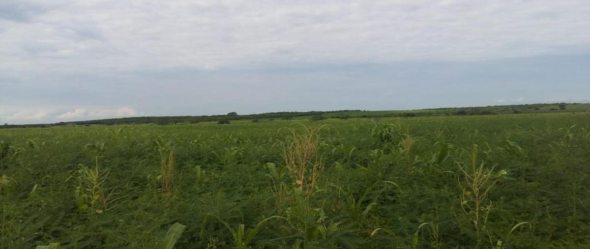 Foto de terreno industrial en venta en carretera mzt-villa union , villa unión centro, mazatlán, sinaloa, 5775128 No. 03