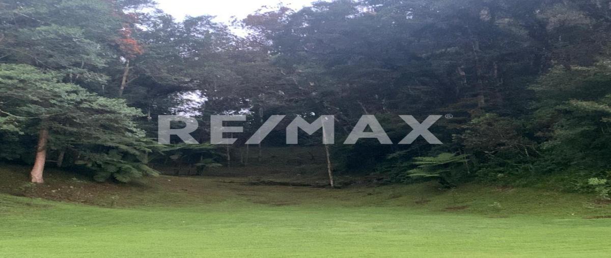 Foto de terreno comercial en venta en carretera nac. kilometro 145 , piletas, rafael lucio, veracruz de ignacio de la llave, 0 No. 03