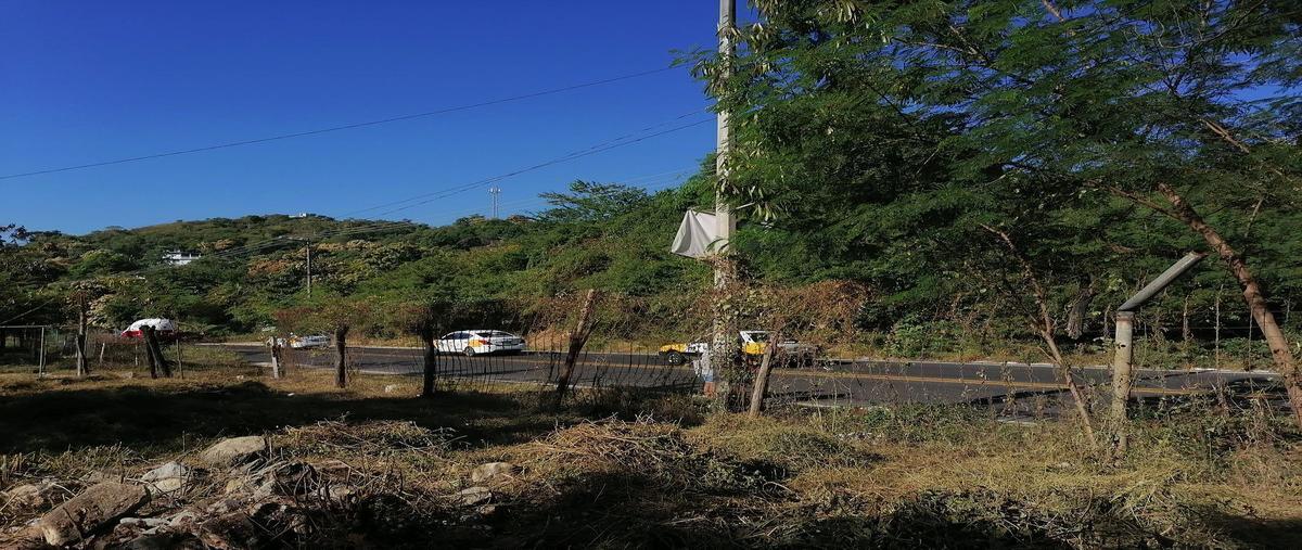 Foto de terreno comercial en renta en carretera nacional acapulco-méxico , los órganos de juan r. escudero, acapulco de juárez, guerrero, 24213725 No. 03