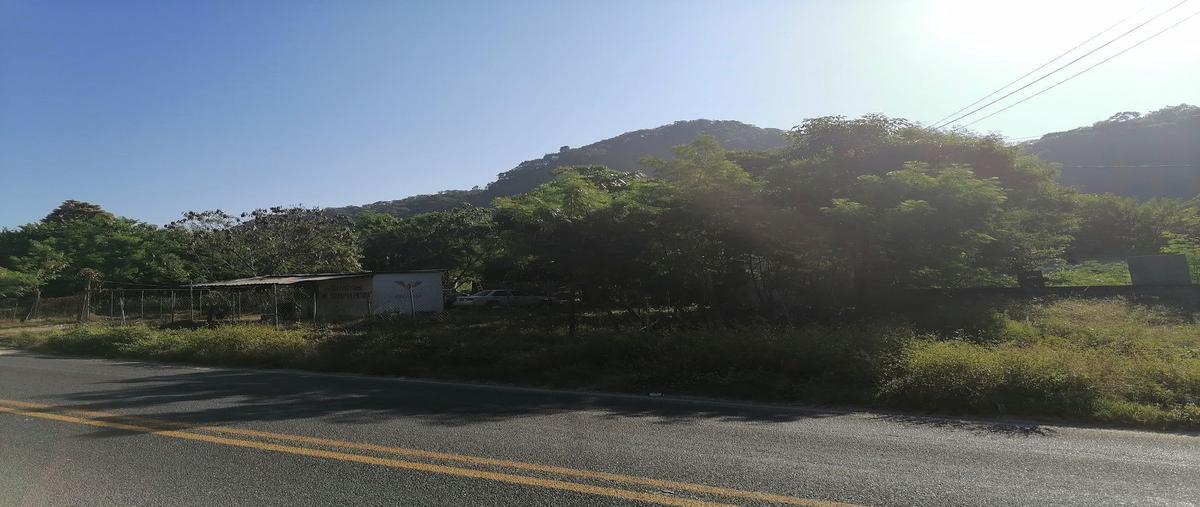 Foto de terreno comercial en renta en carretera nacional acapulco-méxico , los órganos de juan r. escudero, acapulco de juárez, guerrero, 24213725 No. 04