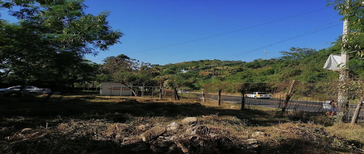 Foto de terreno comercial en renta en carretera nacional acapulco-méxico , los órganos de juan r. escudero, acapulco de juárez, guerrero, 24213725 No. 05