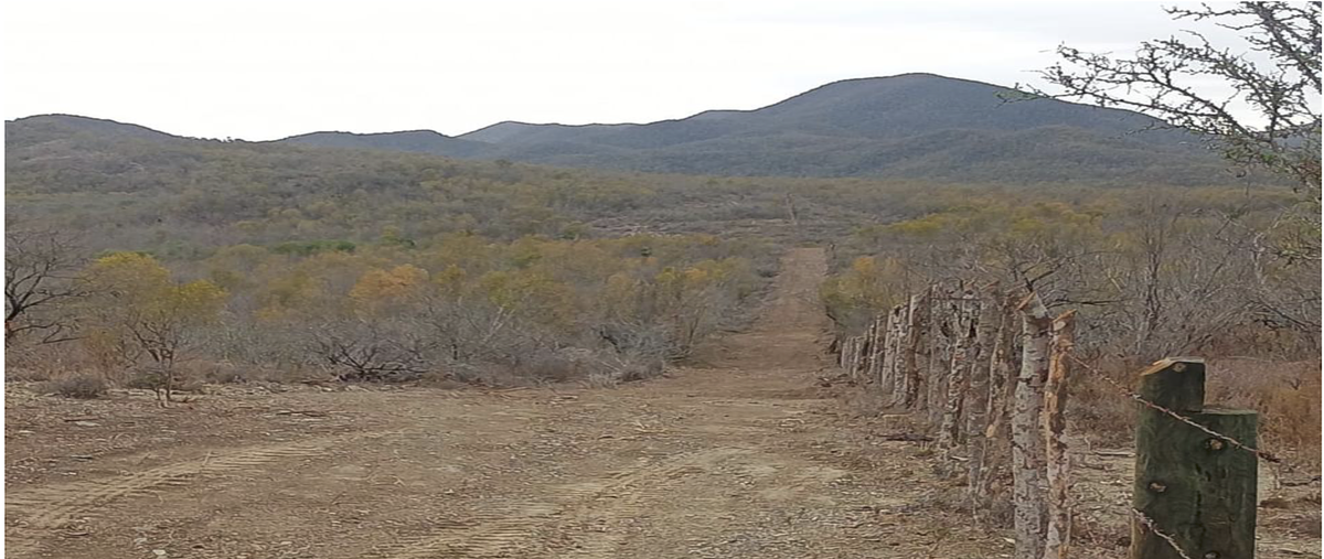 Foto de terreno habitacional en venta en carretera nacional , la reforma, linares, nuevo león, 0 No. 03