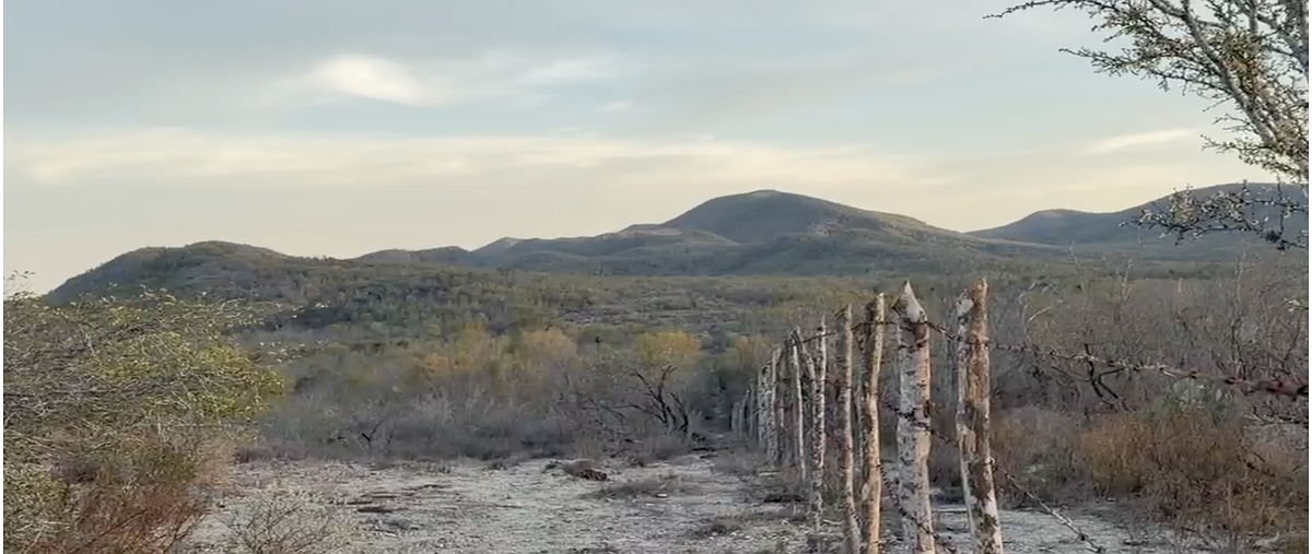 Foto de terreno habitacional en venta en carretera nacional , la reforma, linares, nuevo león, 0 No. 05