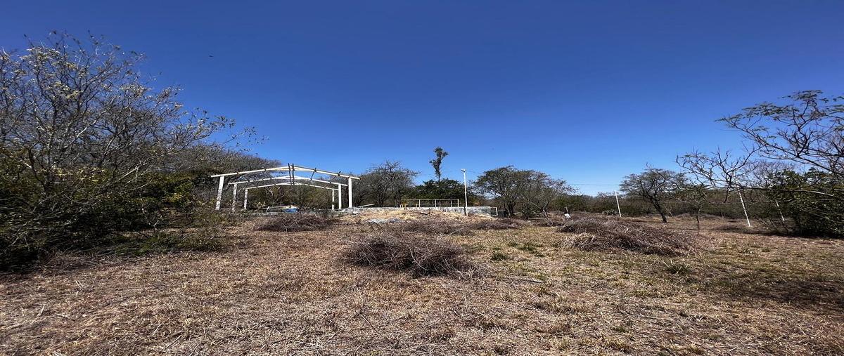 Foto de terreno habitacional en carretera nacional , las adjuntas, montemorelos, nuevo león, 0 foto 01 Foto de terreno habitacional en venta en carretera nacional , las adjuntas, montemorelos, nuevo león, 0 No. 01