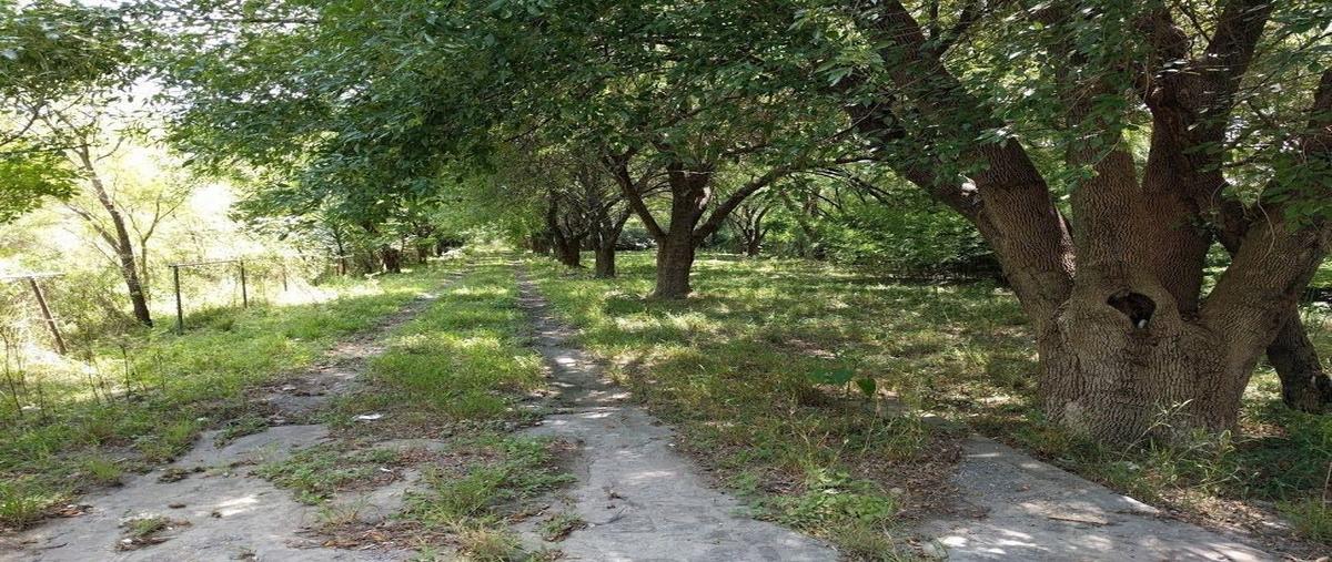 Foto de terreno habitacional en venta en carretera nacional , los rodriguez, santiago, nuevo león, 26105365 No. 03