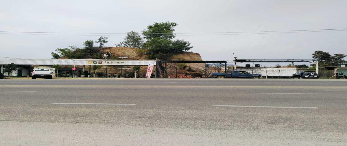 Foto de terreno comercial en renta en carretera nacional méxico-acapulco , los órganos de san agustín (el quemado), acapulco de juárez, guerrero, 29339666 No. 03