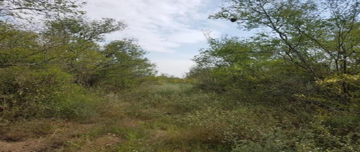 Foto de terreno comercial en venta en carretera nacional , montemorelos centro, montemorelos, nuevo león, 22166910 No. 04