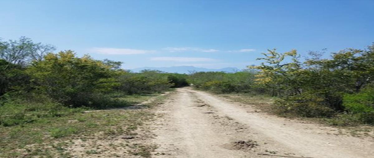 Foto de terreno comercial en venta en carretera nacional , montemorelos centro, montemorelos, nuevo león, 22166910 No. 05