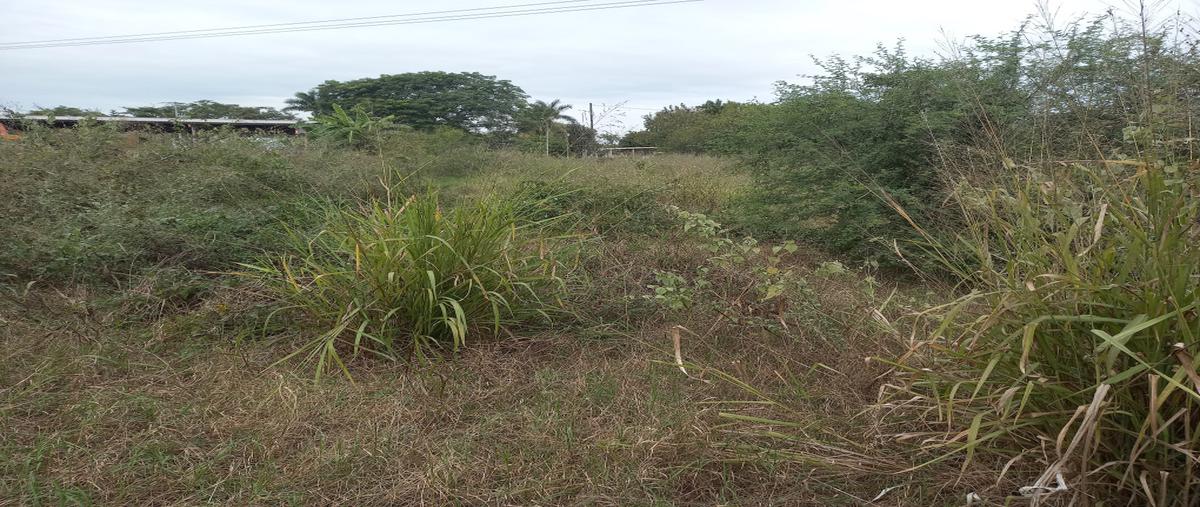 Foto de terreno habitacional en carretera nacional panuco tampico , panuco centro, pánuco, veracruz de ignacio de la llave, 0 foto 03 Foto de terreno habitacional en venta en carretera nacional panuco tampico , panuco centro, pánuco, veracruz de ignacio de la llave, 0 No. 03