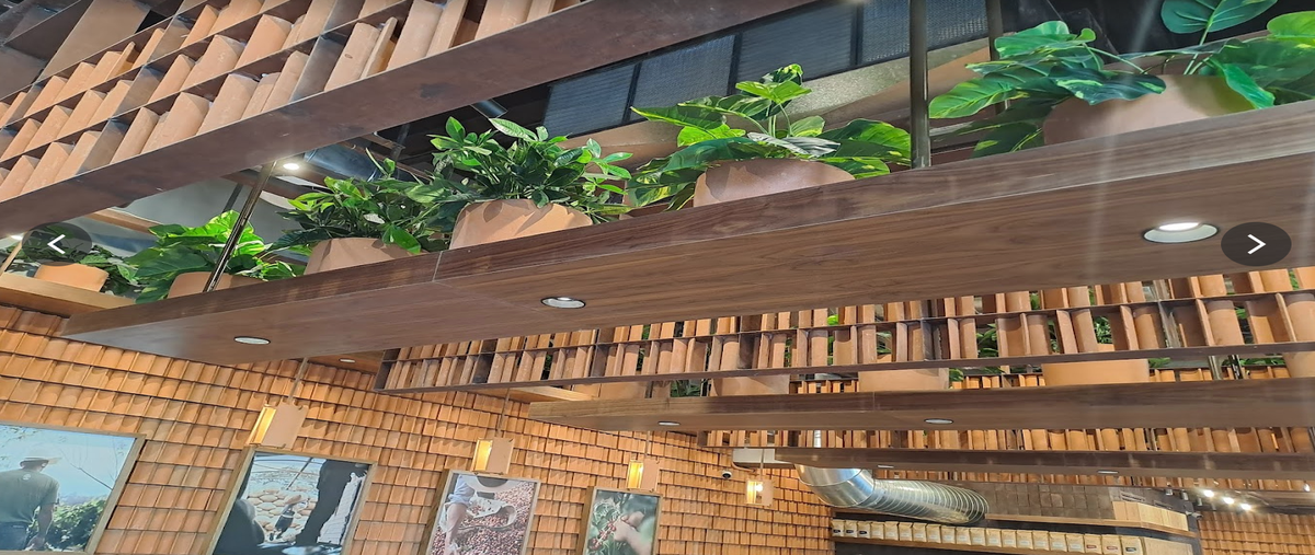 Foto de local en carretera nacional , pedregal de valle alto, monterrey, nuevo león, 27939425 foto 03 Foto de local en renta en carretera nacional , pedregal de valle alto, monterrey, nuevo león, 27939425 No. 03