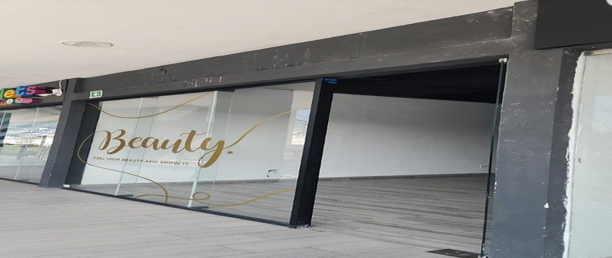 Foto de local en renta en carretera nacional , rincón del vergel, monterrey, nuevo león, 31055024 No. 03