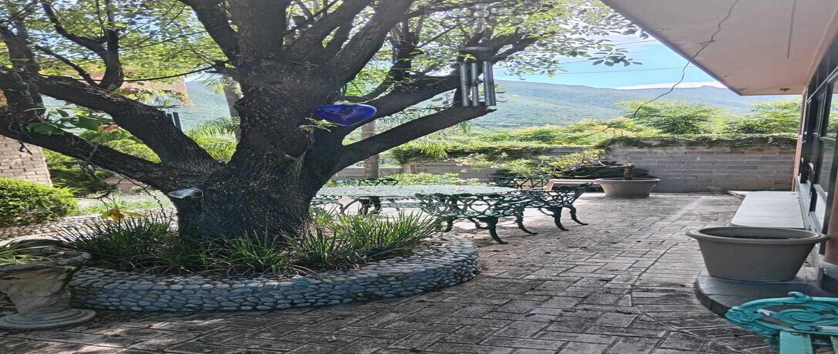 Foto de terreno comercial en carretera nacional , san jose norte, santiago, nuevo león, 29225205 foto 05 Foto de terreno comercial en venta en carretera nacional , san jose norte, santiago, nuevo león, 29225205 No. 05