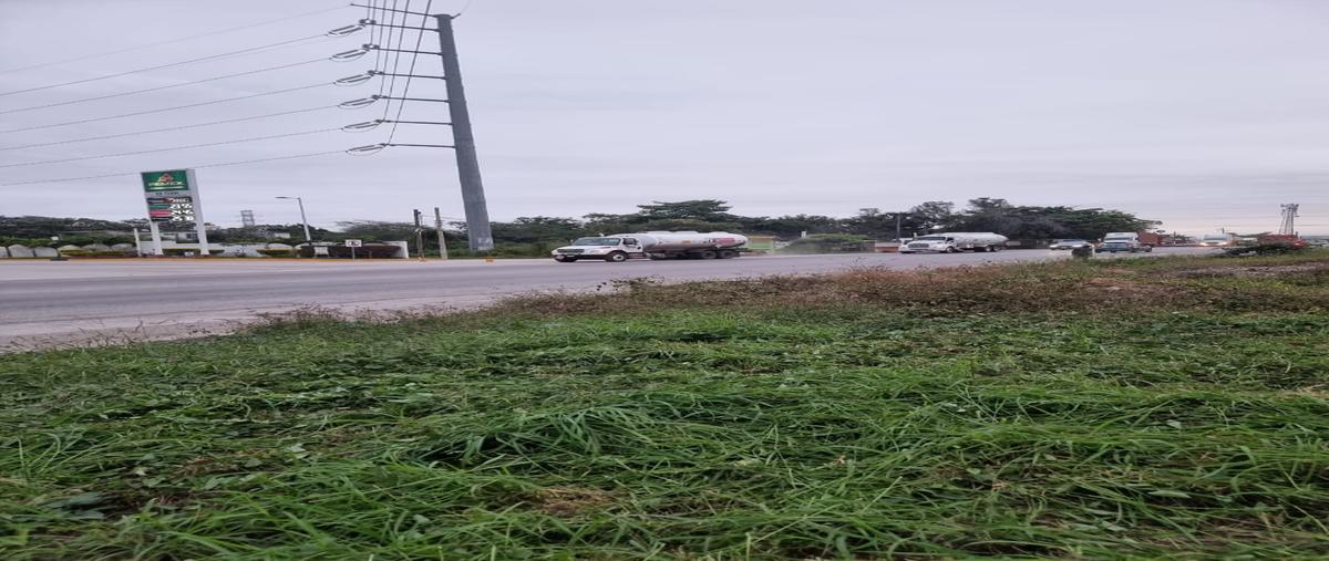 Foto de terreno habitacional en renta en carretera nacional tamos , tamos, pánuco, veracruz de ignacio de la llave, 29075301 No. 03