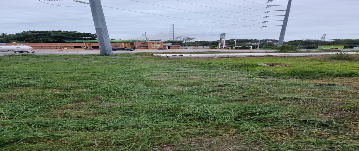 Foto de terreno habitacional en renta en carretera nacional tamos , tamos, pánuco, veracruz de ignacio de la llave, 29075301 No. 04