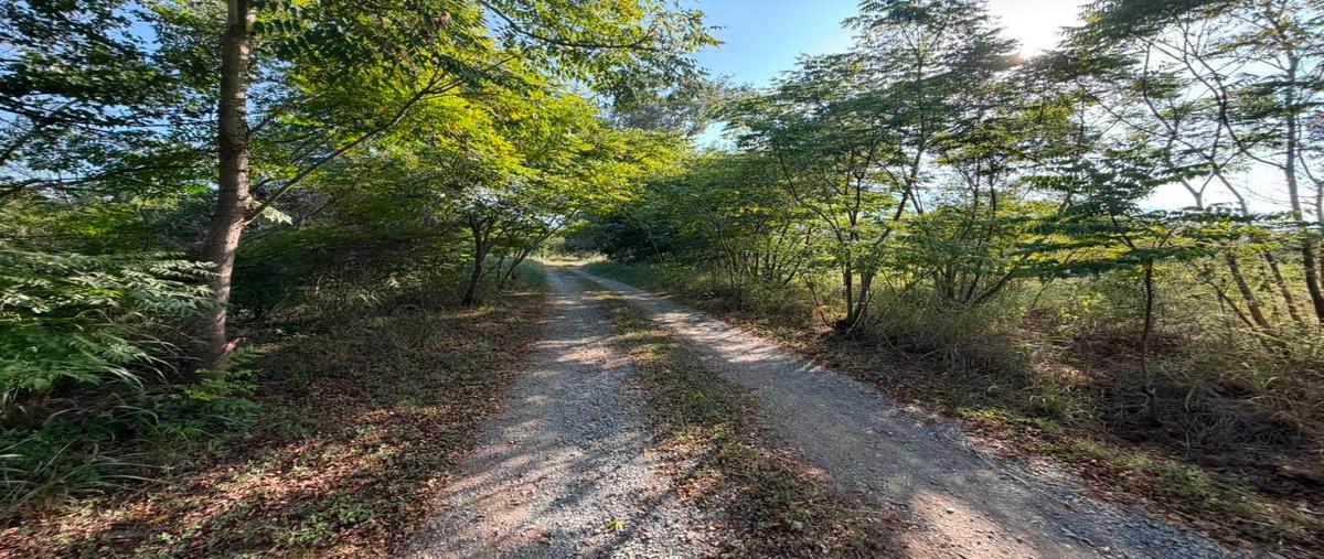 Foto de terreno habitacional en venta en carretera nacional , yerbaniz, santiago, nuevo león, 0 No. 04