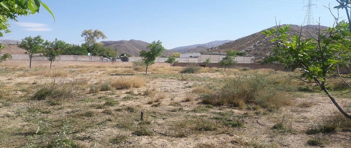 Foto de terreno comercial en venta en carretera nazareno , villa de guadalupe, lerdo, durango, 17309309 No. 05