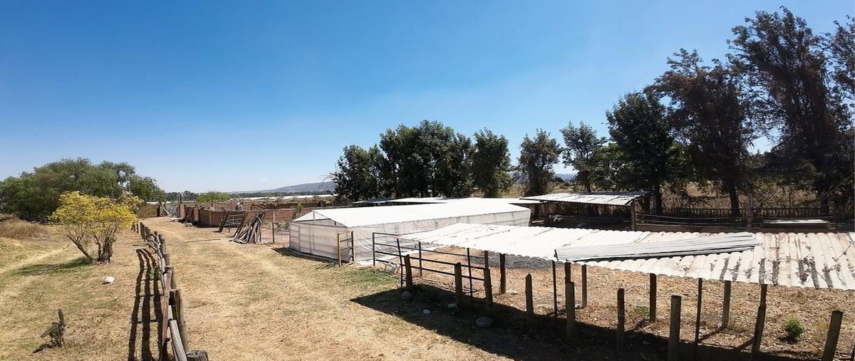Foto de rancho en venta en carretera nextipac , nextipac, zapopan, jalisco, 0 No. 05