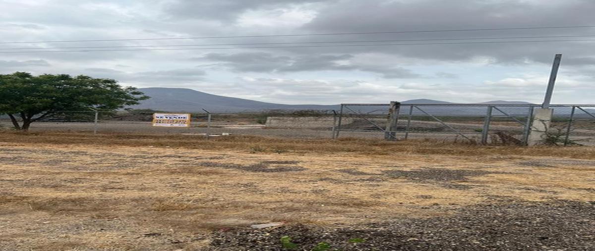Foto de terreno comercial en venta en carretera norte libre. , el tamarindo, culiacán, sinaloa, 0 No. 03