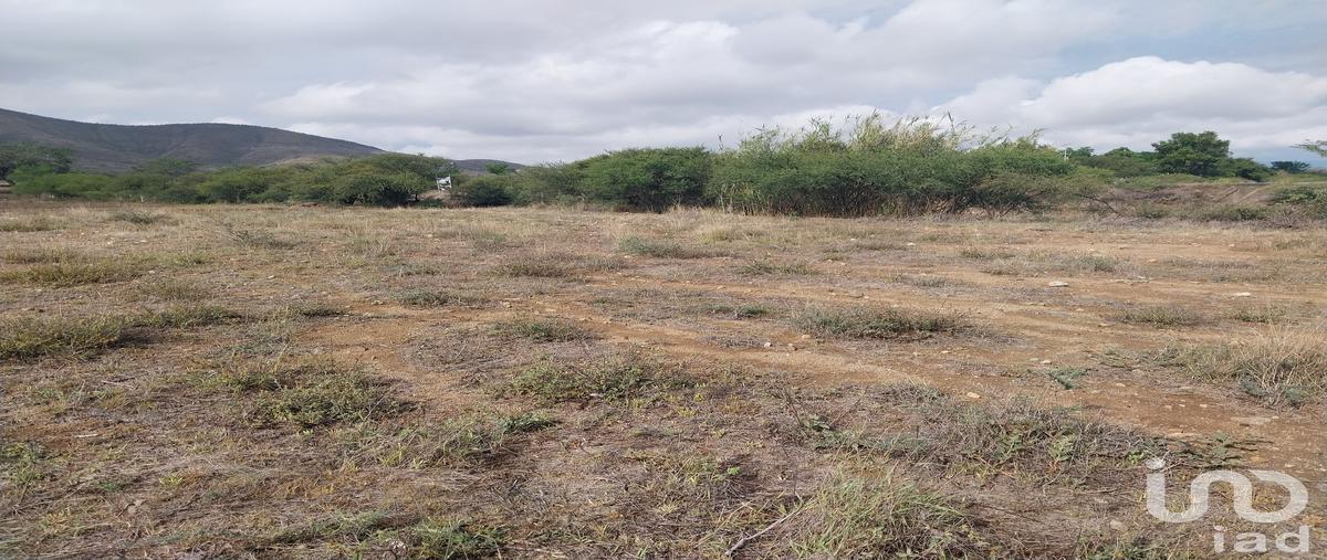 Foto de terreno comercial en carretera oaxaca - puerto ángel 117, la cofradía, ocotlán de morelos, oaxaca, 31397759 foto 04 Foto de terreno comercial en venta en carretera oaxaca - puerto ángel 117, la cofradía, ocotlán de morelos, oaxaca, 31397759 No. 04