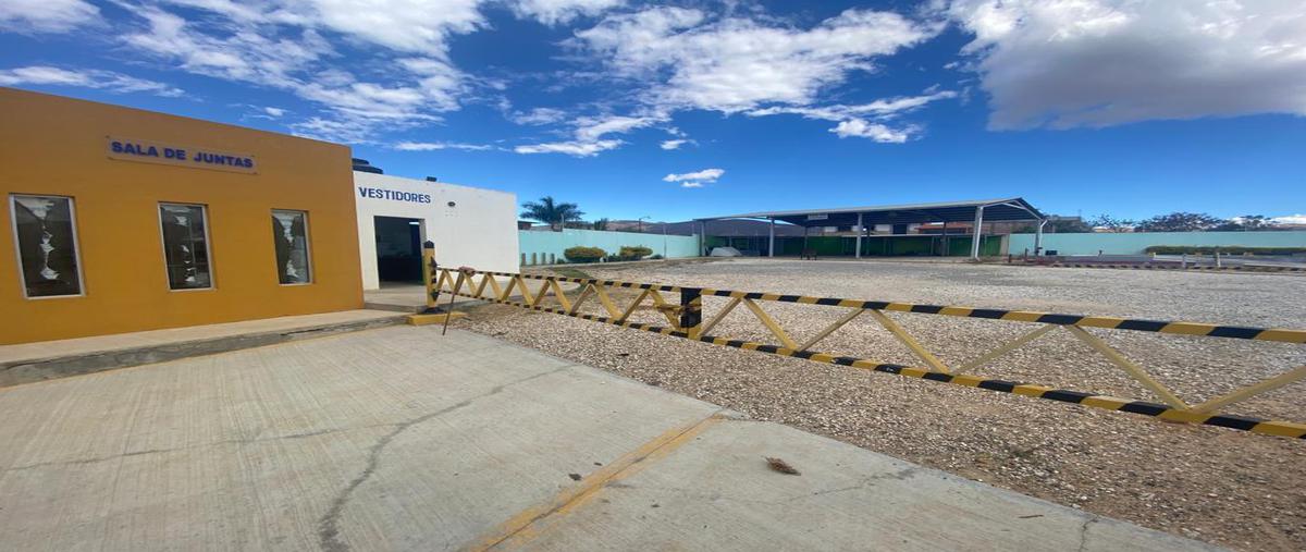 Foto de terreno industrial en venta en carretera oaxaca-puerto escondido , jardines de zaachila, villa de zaachila, oaxaca, 23946493 No. 03