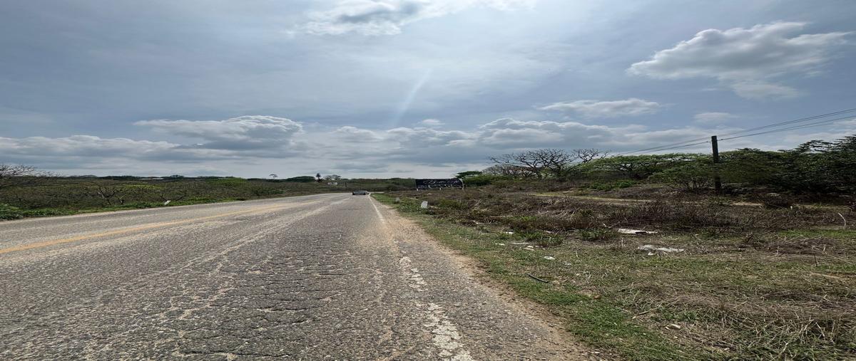 Foto de terreno habitacional en renta en carretera ocozocoautla - entronque el sabino , vista hermosa, berriozábal, chiapas, 29942429 No. 04