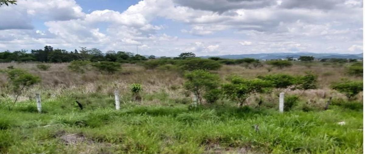 Foto de terreno comercial en venta en carretera ocozocoautla , ocozocoautla de espinosa centro, ocozocoautla de espinosa, chiapas, 31071249 No. 04