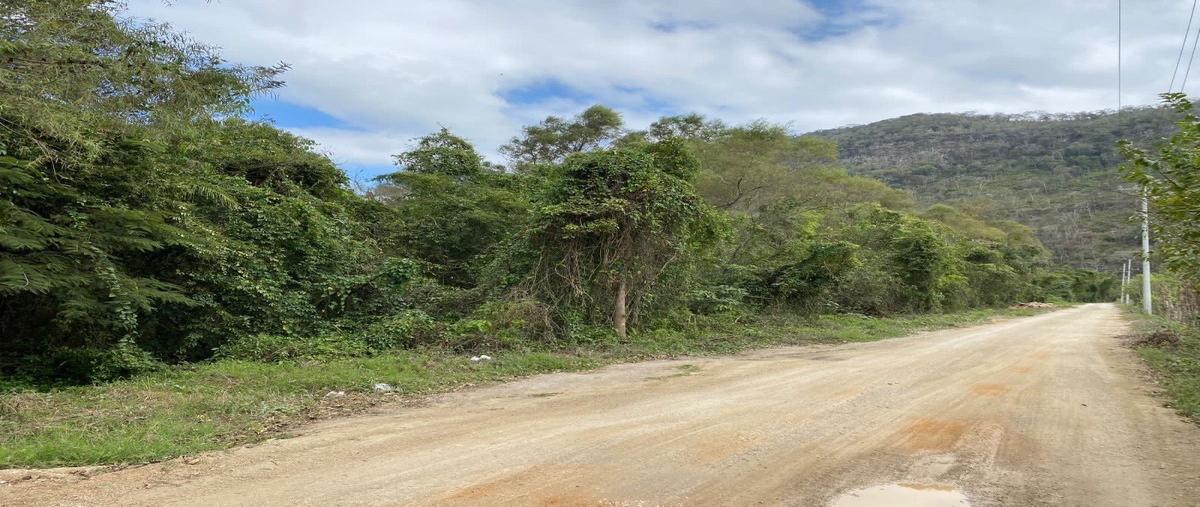 Foto de terreno habitacional en venta en carretera ocozocoautla - revolución , ignacio zaragoza, ocozocoautla de espinosa, chiapas, 0 No. 04