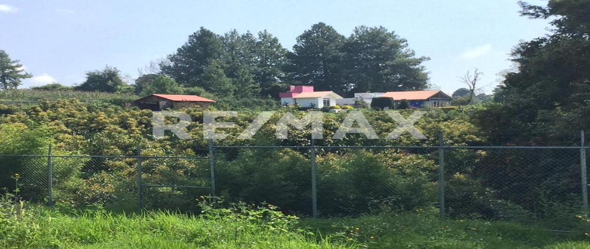 Foto de rancho en venta en carretera ocuilan zempoala , san josé el tótoc, ocuilan, méxico, 0 No. 03