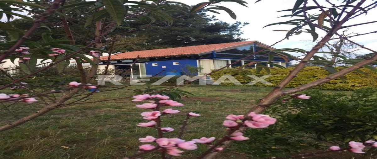 Foto de rancho en venta en carretera ocuilan zempoala , san josé el tótoc, ocuilan, méxico, 0 No. 04