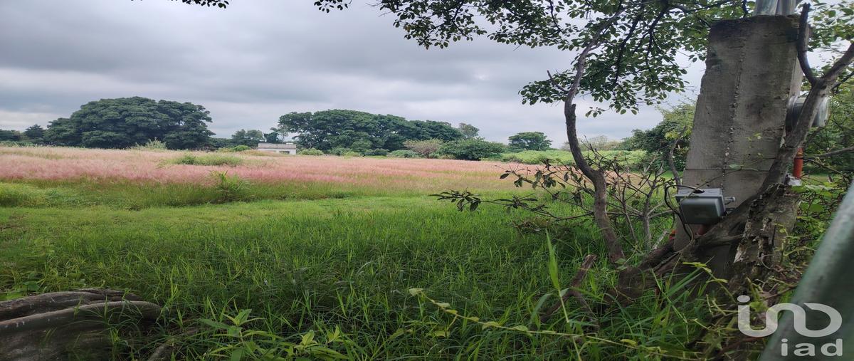 Foto de terreno comercial en venta en carretera ocuituco-yecapixtla , ocuituco, ocuituco, morelos, 31544043 No. 03