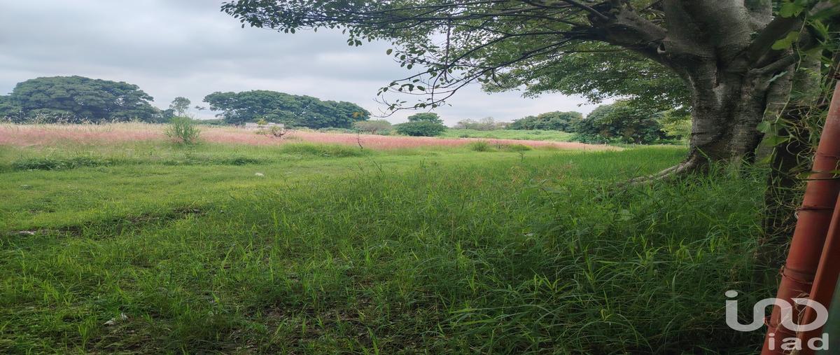 Foto de terreno comercial en venta en carretera ocuituco-yecapixtla , ocuituco, ocuituco, morelos, 31544043 No. 05