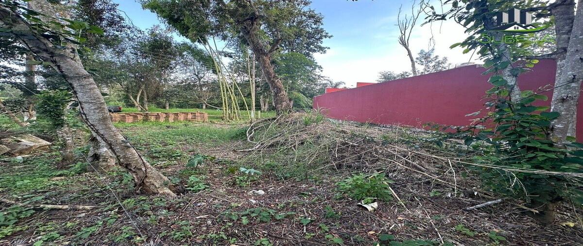 Foto de terreno habitacional en carretera ojo de agua , gravilias, emiliano zapata, veracruz de ignacio de la llave, 0 foto 05 Foto de terreno habitacional en venta en carretera ojo de agua , gravilias, emiliano zapata, veracruz de ignacio de la llave, 0 No. 05