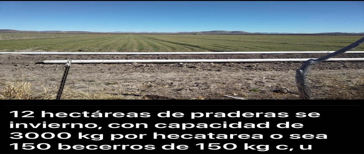 Foto de rancho en carretera panamericana , el sáuz, chihuahua, chihuahua, 27578166 foto 05 Foto de rancho en venta en carretera panamericana , el sáuz, chihuahua, chihuahua, 27578166 No. 05